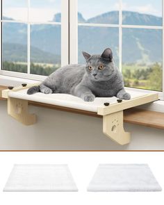 a gray cat laying on top of a wooden window sill next to a window