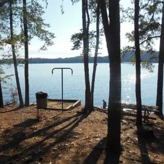 the sun shines through the trees onto a lake