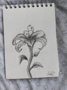 a drawing of a flower on a sheet of paper