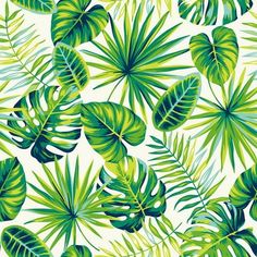 a green and white tropical print with palm leaves on the backgrounge background