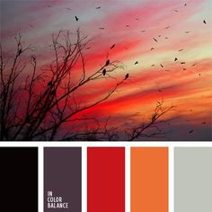 birds flying in the sky at sunset, with color palette swatches for each section