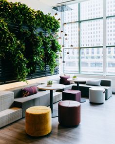 a living room with couches and tables in front of a wall covered with greenery