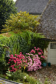 the house is surrounded by beautiful flowers and greenery on both sides of the door