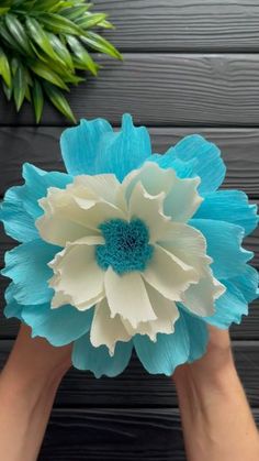 two hands holding blue and white paper flowers