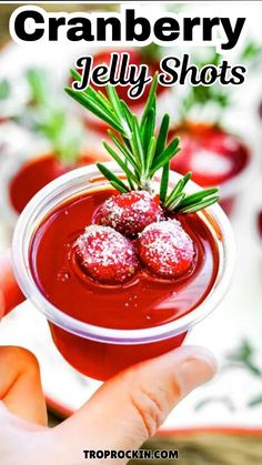 cranberry jelly shots in a small glass with rosemary sprigs on top