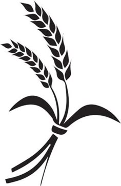 a black and white image of a stalk of wheat