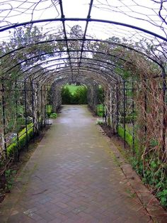 the walkway is lined with trees and bushes in an open area that looks like a garden