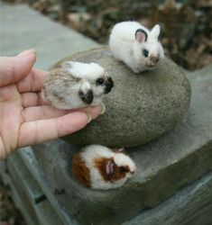 two tiny white and brown kittens sitting on top of a rock in someone's hand