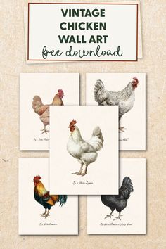 vintage chicken wall art free printables for your home or office - set of 6