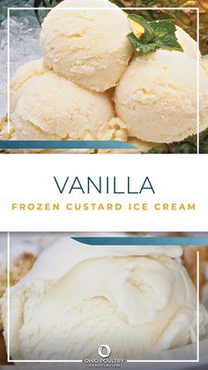 vanilla frozen custard ice cream on a plate