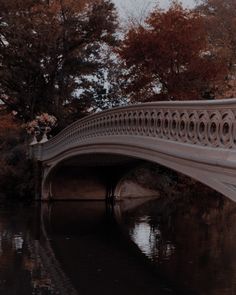 a bridge over a body of water with trees in the background and leaves on the ground