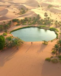 an aerial view of a small lake surrounded by sand dunes and palm trees in the desert