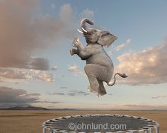 an elephant jumping over a trampoline in the middle of a desert landscape with clouds