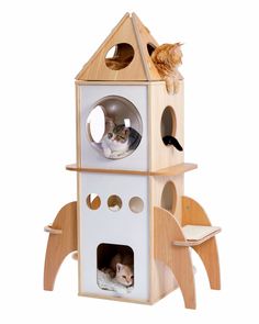 a cat sitting on top of a wooden tower with two cats looking out the window