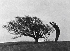 a man standing next to a tree on top of a hill