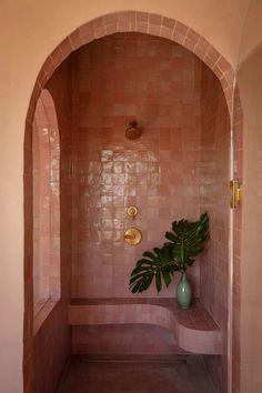 a plant is sitting in the corner of a pink tiled room with arched doorways