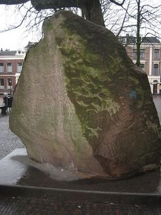 a large rock sitting on top of a cement slab in front of a tree with no leaves