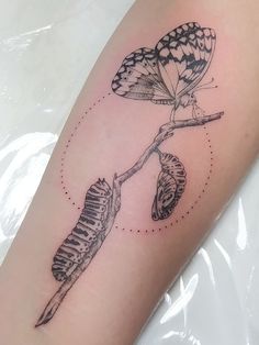 a tattoo with two butterflies sitting on top of each other's wings and one is holding onto a branch