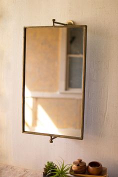 a mirror hanging on the side of a wall next to a potted plant and succulents