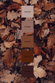 the colors of autumn leaves are brown, red, and green in this color palette