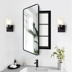 a bathroom sink with a mirror above it and a potted plant on the counter