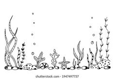 an underwater scene with seaweed, rocks and starfish in black and white ink