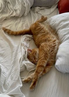 an orange cat laying on top of a bed covered in white sheets and pillows,