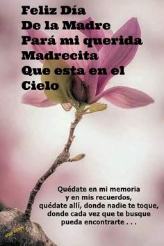 a pink flower with the words in spanish