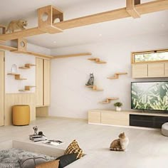 a cat sitting in the middle of a living room with shelves on either side of it