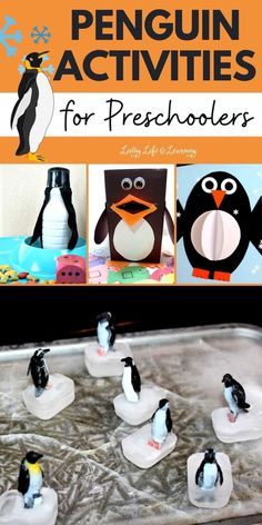 Penguin Activities for Preschoolers Arctic Animals Activities, Arctic Animals Preschool, Craft Animals, Sensory Play Toddlers, Animals Preschool