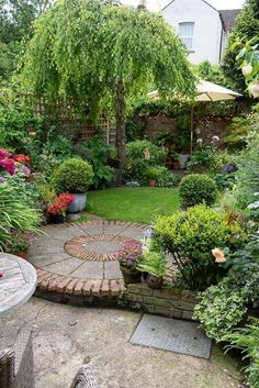 a garden with lots of plants and flowers in the center, surrounded by greenery