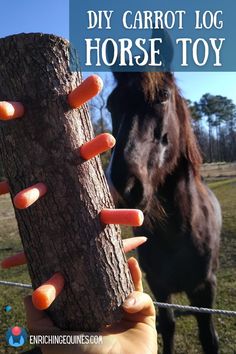 A DIY horse toy treat log for horse enrichment featuring a short thick log with carrots sticking out of holes all over surface. In background, black horse looks eagerly at log across a pasture fence. Overlay text reads DIY Carrot Log Horse Toy enriching equines dot com Horse Feed Room, Mini Shetland Pony, Horse Blankets Winter, Horse Tack Rooms, Diy Pet Toys