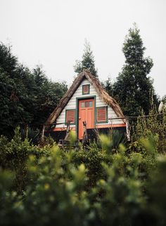 a small house with a red door surrounded by trees