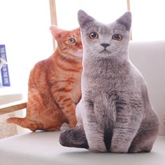 two cats sitting on top of a couch next to each other