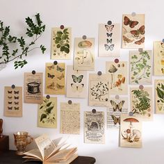 a bunch of cards are hanging on the wall next to a potted plant and an open book