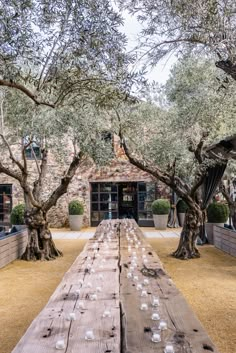 an outdoor dining area with wooden tables and olive trees