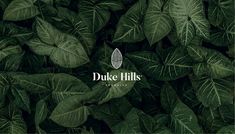 the duke hills logo surrounded by green leaves