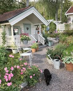 a black cat walking in front of a white house with potted plants and flowers