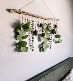 some plants are hanging on the wall