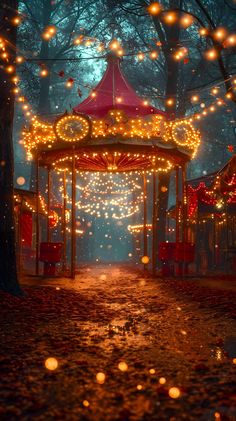 a merry go round with lights on the ground and trees in the background at night