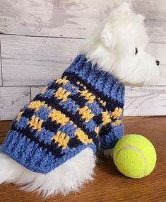 a white dog wearing a blue and yellow sweater next to a tennis ball on a wooden table