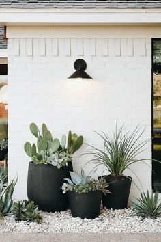 some plants are sitting in front of a white brick building