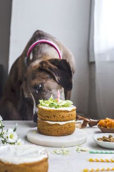 a dog standing next to a cake with candles on it's top and flowers in the background