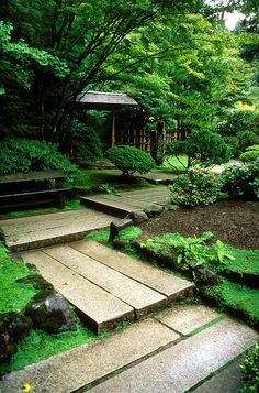 a stone path in the middle of a lush green park