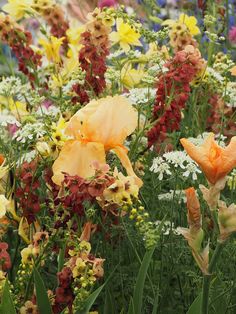 many different colored flowers in a garden