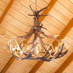 12 Antler Elk Chandelier Log Cabin Ceiling, Cabin Ceiling Fan, Elk Chandelier, Antler Light Fixtures, Cabin Ceiling, Antler Lights, Down Lights, Antler Chandelier, Elk Antlers