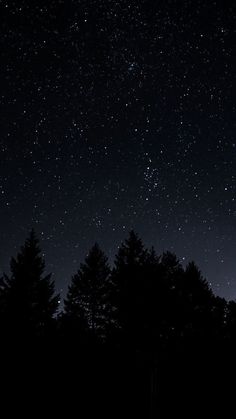 the night sky is filled with stars and trees