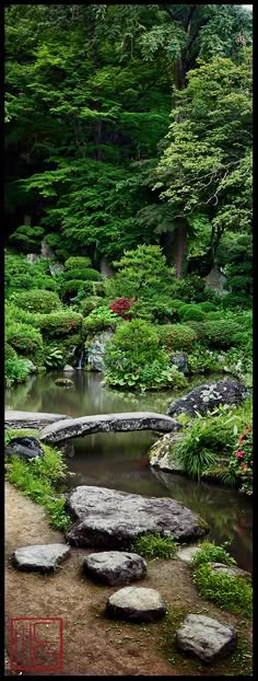 an image of a garden with rocks and water in it, taken on the iphone