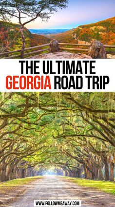 Ultimate Georgia Road Trip Traveling Georgia Country, Georgia Trip Ideas, Georgia Waterfalls Road Trip, Georgia Road Trip Places To Visit, Georgia Bucket List Places To Visit, Southeast Road Trip, Places To Go In Georgia