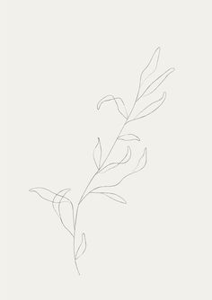 Blatt Tattoos, Botanisches Tattoo, Line Art Flowers, Handpoke Tattoo, Plant Tattoo, Botanical Tattoo, Line Art Tattoos, Dainty Tattoos, Subtle Tattoos